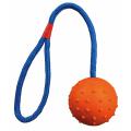 Изображение 1 - Trixie М'яч шипований на мотузці