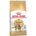 Изображение 1 - Royal Canin Bengal Adult