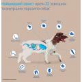 Изображение 1 - Некс Гард Spectra Таблетки для собак вагою від 15 до 30 кг