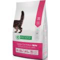 Изображение 1 - Nature's Protection Kitten Large Breed