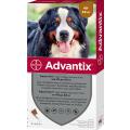 Изображение 1 - Bayer Advantix для собак від 40 до 60 кг