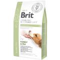Изображение 1 - Brit Veterinary Diet Diabetes для собак з індичкою і горохом