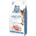 Изображение 1 - Brit Care Grain-Free Adult Cat Large cats Power & Vitality