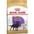 Изображение 1 - Royal Canin Labrador Retriever Sterilised