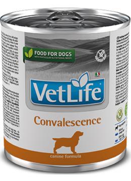 Farmina Vet Life Dog Convalescence Паштет