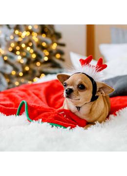 Pet-Fashion Christmas Аксесуар Ріжки