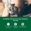 Изображение 1 - Credelio Cat для котів від 2 до 8 кг