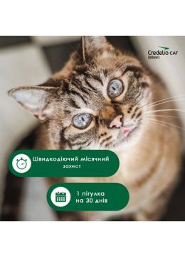 Credelio Cat для котів від 2 до 8 кг