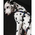 Изображение 1 - Collar WauDog Nylon NASA нейлонова швидкознімна шлейка