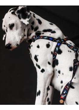 Collar WauDog Nylon NASA нейлонова швидкознімна шлейка