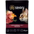 Изображение 1 - Savory Kitten Lamb and Pumpkin in Jelly