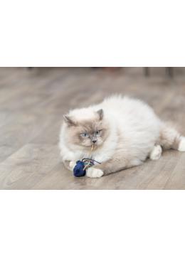 Trixie Marine Animals Іграшка для кота