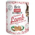 Изображение 1 - Brit Care Cat Superfruits Ласощі з бараниною