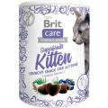 Изображение 1 - Brit Care Cat Superfruits Kitten Ласощі з куркою