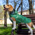 Изображение 1 - Barksi Дощовик з капюшоном авокадо