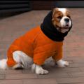 Изображение 1 - Barksi Textile Комбінезон-дощовик стьобаний помаранчевий
