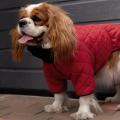 Изображение 1 - Barksi Textile Комбінезон-дощовик стьобаний червоний