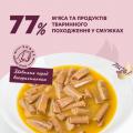 Изображение 1 - Delickcious Смужки з качкою та гарбузом в крем-супі