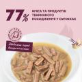 Изображение 1 - Delickcious Смужки з індичкою та сиром в крем-супі
