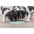 Изображение 1 - Trixie Junior Licking Plate Миска повільного годування для цуценят