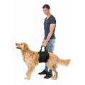 Изображение 1 - Trixie Lifting Aid Поддерживающие ходунки