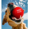 Изображение 1 - Collar Waudog Fun червоний м'яч