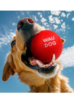 Collar Waudog Fun червоний м'яч