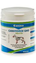 Canina Canhydrox GAG Tabletten