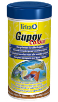 Tetra Guppy Colour