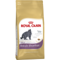 Изображение 1 - Royal Canin British Shorthair Adult