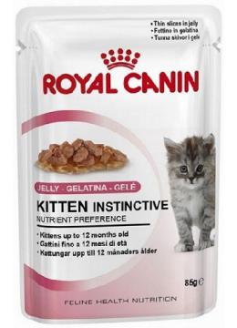 Royal Canin Kitten в желе