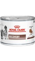 Royal Canin Recovery вологий