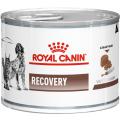 Изображение 1 - Royal Canin Recovery вологий