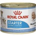 Изображение 1 - Royal Canin Starter Mousse Canine