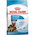 Изображение 1 - Royal Canin Maxi Starter