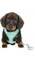 Trixie Puppy Soft Harness Шлейка з повідцем М'ятна