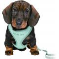 Изображение 1 - Trixie Puppy Soft Harness Шлейка з повідцем М'ятна