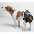 Изображение 1 - Savic Comfort Nappy памперси для собак