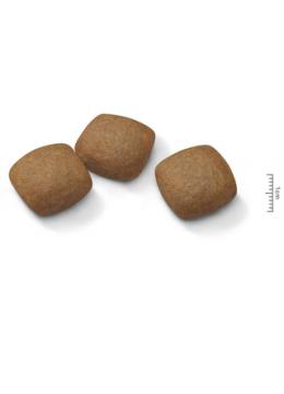 Royal Canin Maxi Joint Care