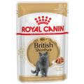 Изображение 1 - Royal Canin British Shorthair в соусе