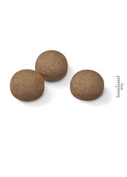 Royal Canin Maxi Digestive Care
