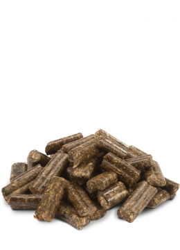 Versele-Laga Crispy Pellets Корм для кроликов