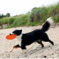 Изображение 1 - Trixie Dog Disc Диск для фризби