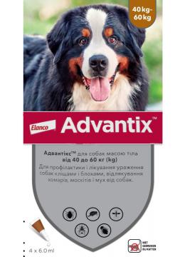 Elanco Advantix для собак от 40 до 60 кг
