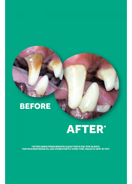 TropiСlean Fresh Breath Гель со вкусом ванильной мяты для чистки зубов у собак