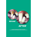 Изображение 1 - TropiСlean Fresh Breath Гель со вкусом ванильной мяты для чистки зубов у собак