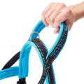 Изображение 1 - Ferplast Sport Dog Blue Шлея нейлоновая