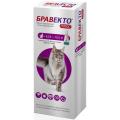 Изображение 1 - Bravecto Plus Противопаразитарные капли для кошек от 6,25 до 12,5 кг