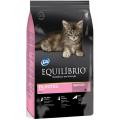 Изображение 1 - Equilibrio Kitten