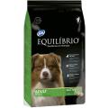 Изображение 1 - Equilibrio Adult Medium Breeds